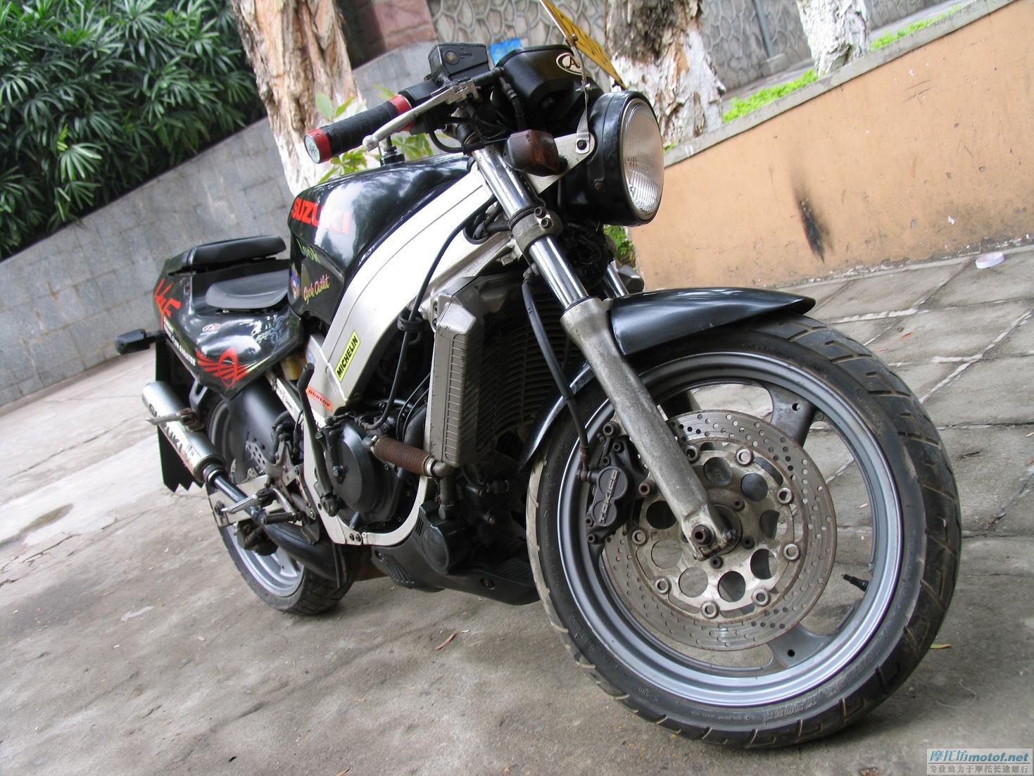 广州5500出售 SUZUKI WOLF250二冲街车