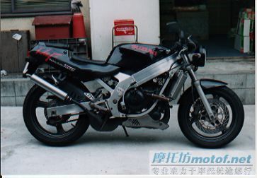 广州5500出售 SUZUKI WOLF250二冲街车