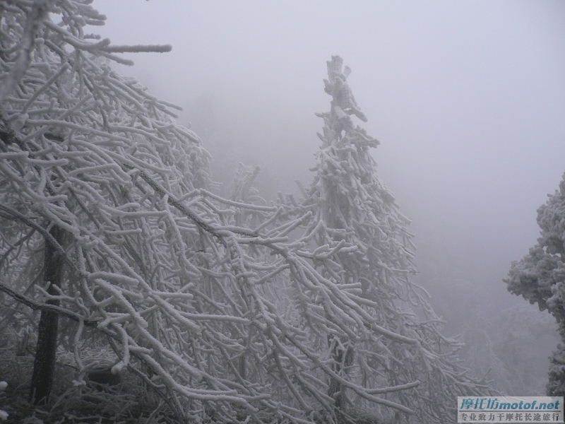 1.24从化双骑蘅山看雪景