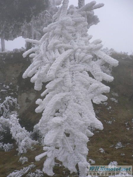 1.24从化双骑蘅山看雪景