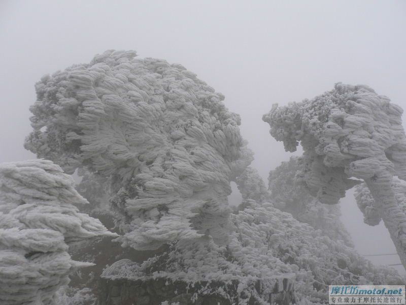 1.24从化双骑蘅山看雪景