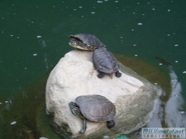 無聊的一天 三人自由行之旅