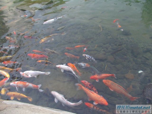 無聊的一天 三人自由行之旅