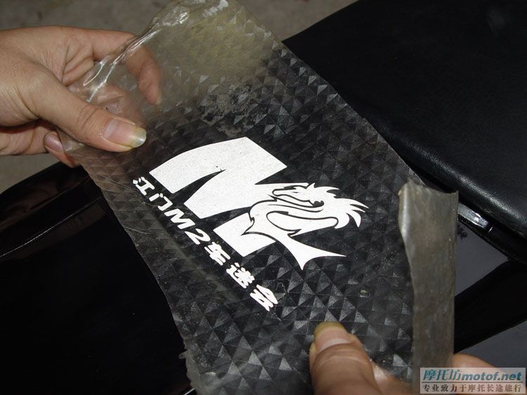 ＂狼牙＂新驹ＦＺ