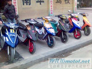 东莞市中堂镇的一群绵羊~