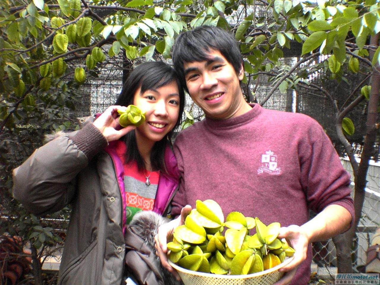 1月5號.江門M2部份會員到江華果園摘楊桃，吃蛇ＦＢ！