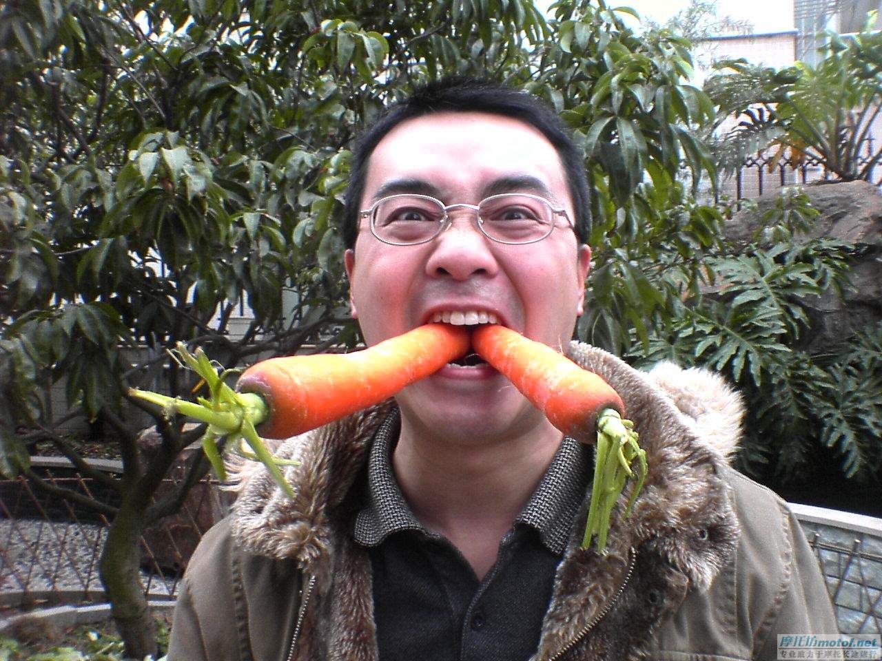 1月5號.江門M2部份會員到江華果園摘楊桃，吃蛇ＦＢ！