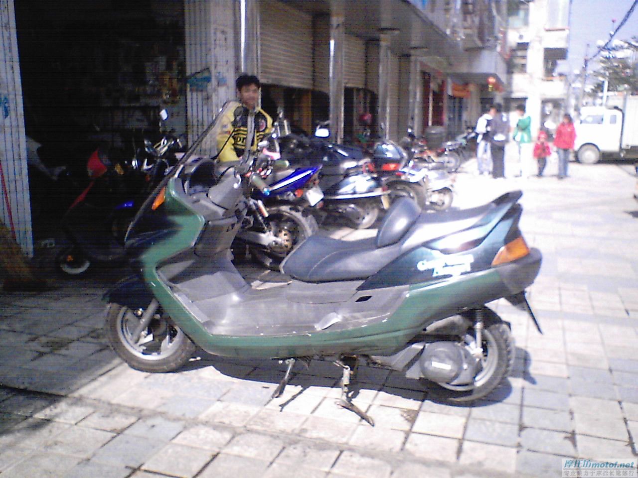 MAJESTY250