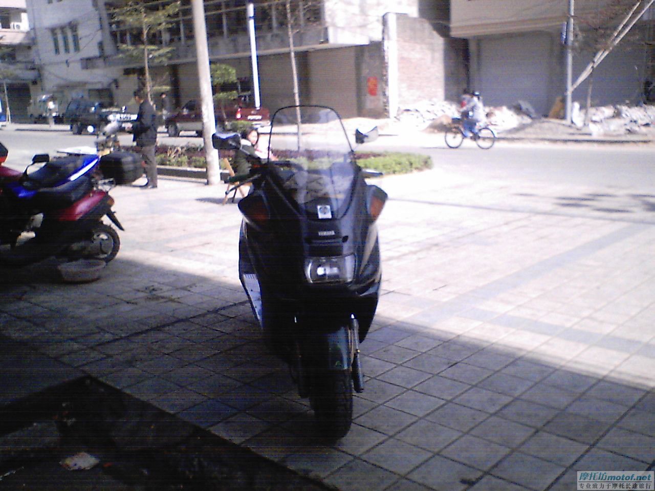 MAJESTY250