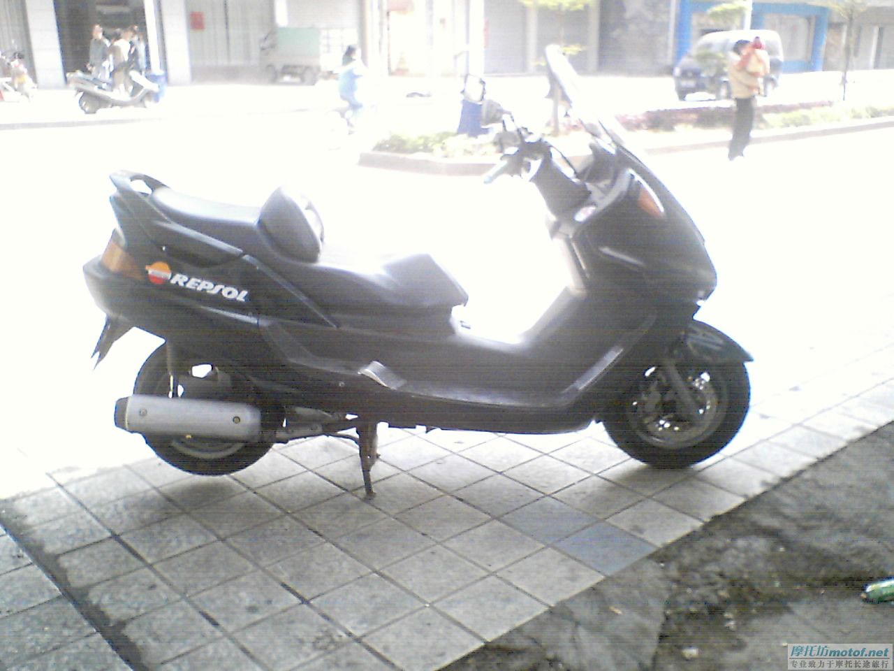 MAJESTY250