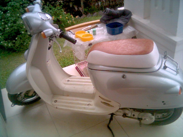 广州花都2300卖本田龟