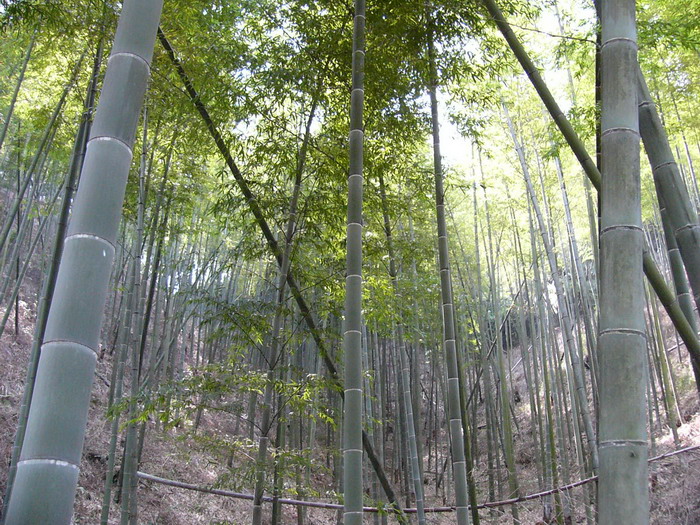 2006年10月06日国庆节&中秋节广州车友南昆山聚会暨“迎战全面禁摩大合照”！