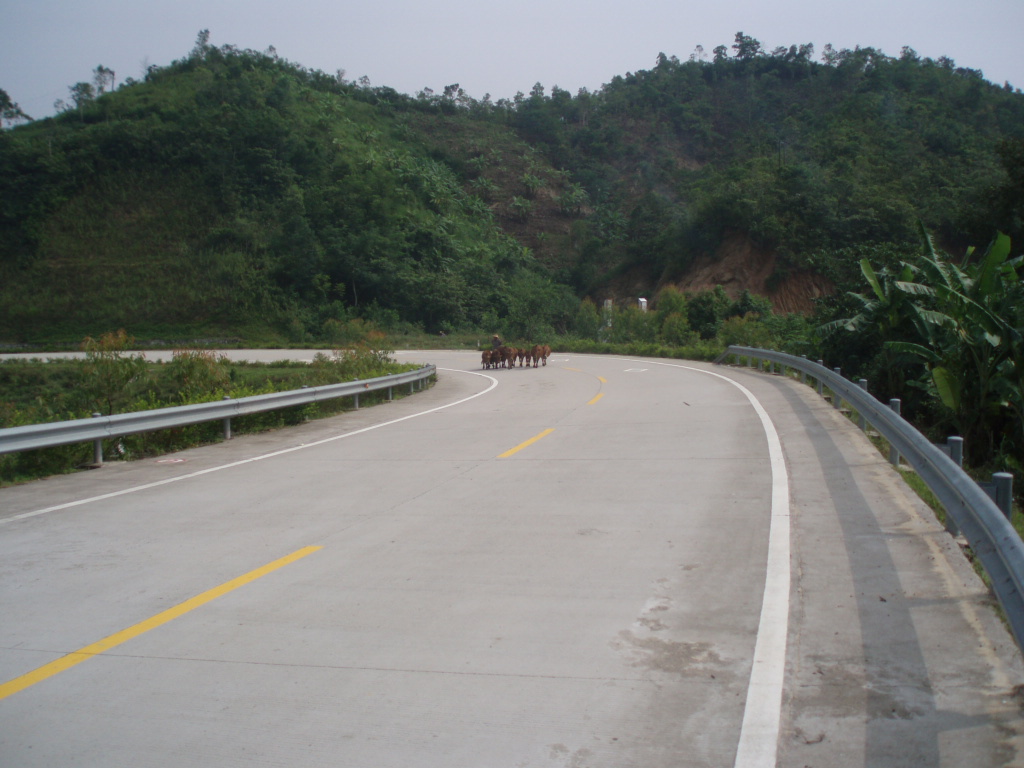 为了山路跑海南