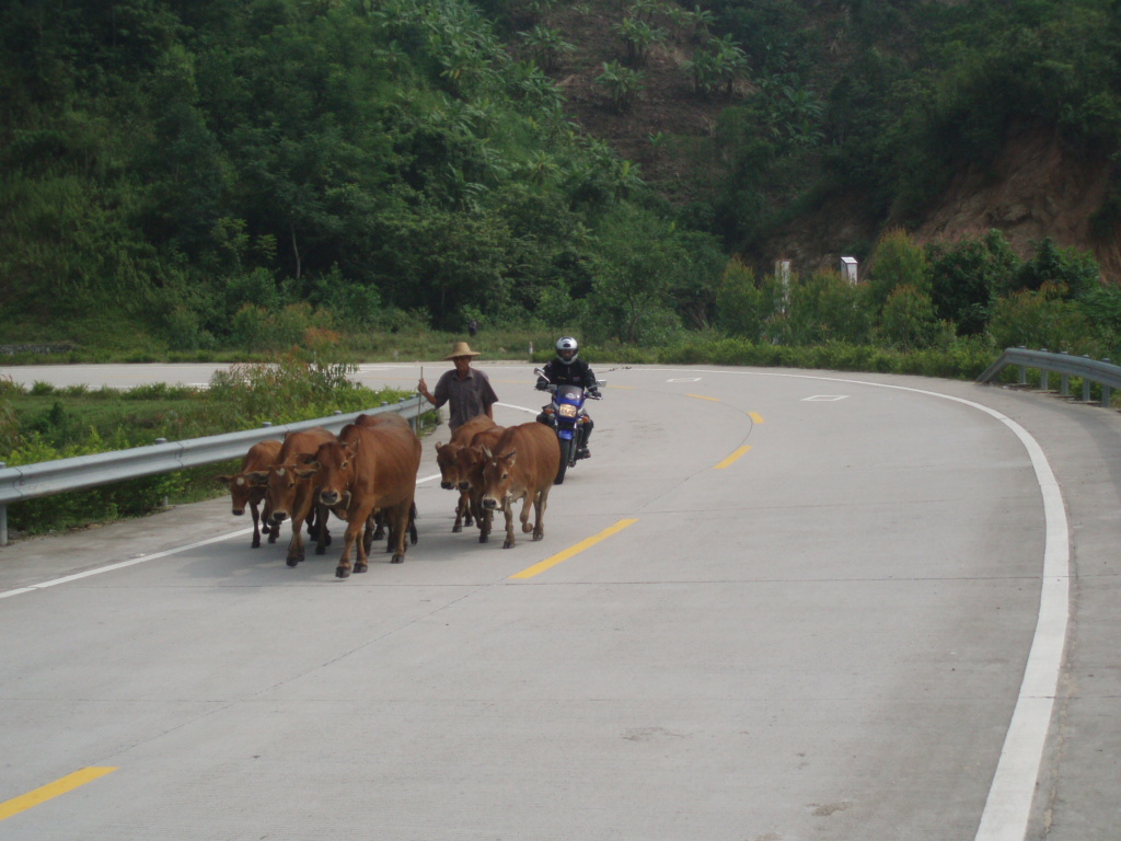 为了山路跑海南