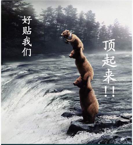 [分享][转帖]加汽油的学问