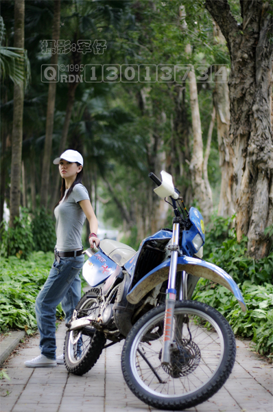 美女与野兽