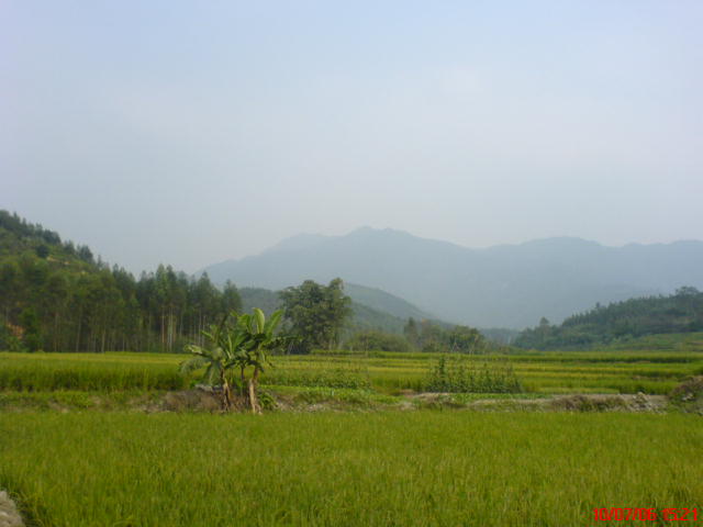 佛山高明-----江门宅吾(短途飞摩极品路段)