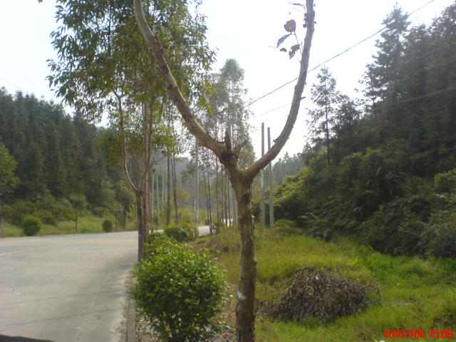 佛山高明-----江门宅吾(短途飞摩极品路段)