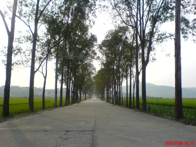 佛山高明-----江门宅吾(短途飞摩极品路段)