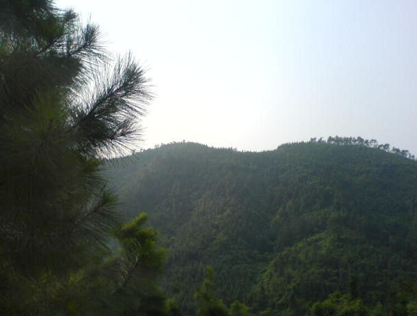 佛山高明-----江门宅吾(短途飞摩极品路段)