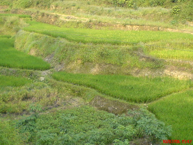 佛山高明-----江门宅吾(短途飞摩极品路段)