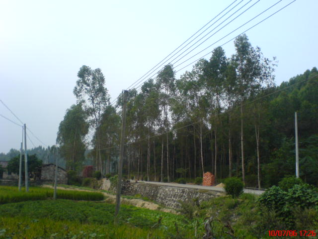 佛山高明-----江门宅吾(短途飞摩极品路段)