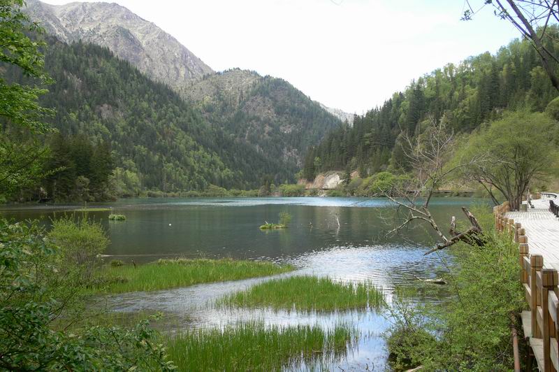 ...东莞雁田三人行.游四川九寨沟...!`!