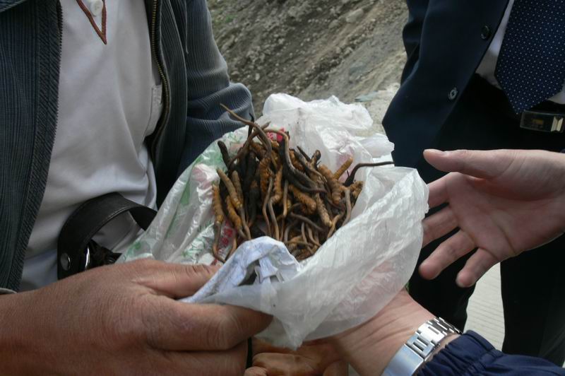 ...东莞雁田三人行.游四川九寨沟...!`!