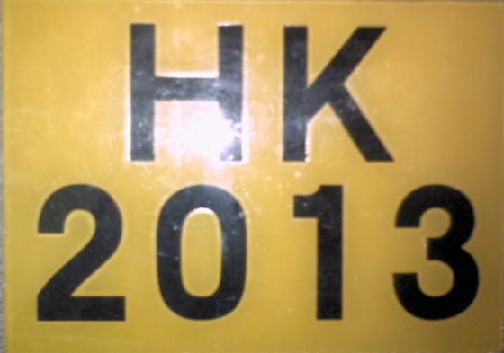 ＨＫ２０１３（爱玲一生）