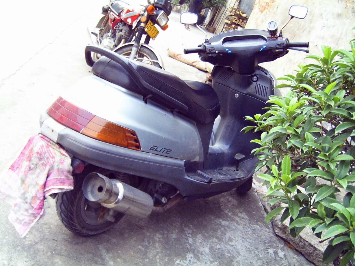 顺德卖沙王2800元