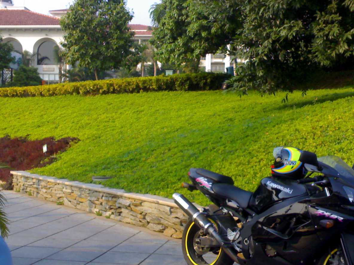 广州新塘36000出售ZX-9R