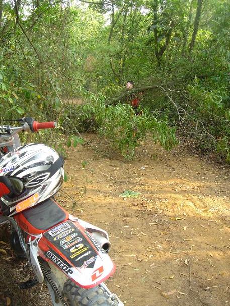 湛江第二台07年CRF450装车过程