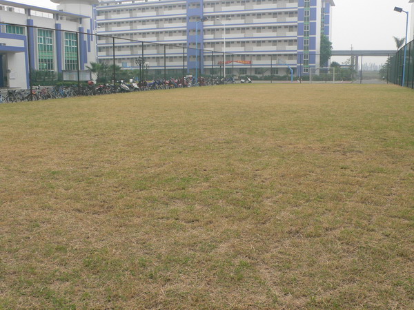 江门M2参观学习-------大冶摩企