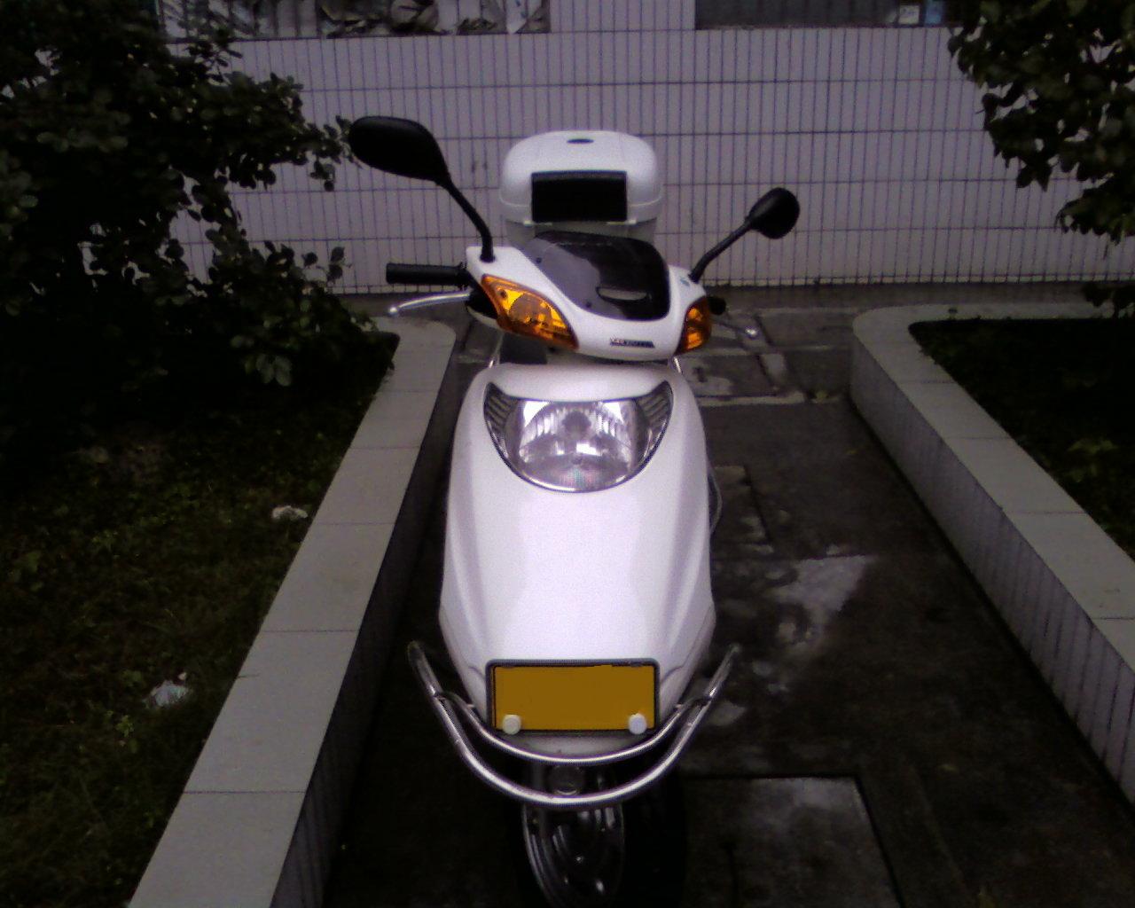 (代友发)清远阳山  女装本田100C  5000RMB