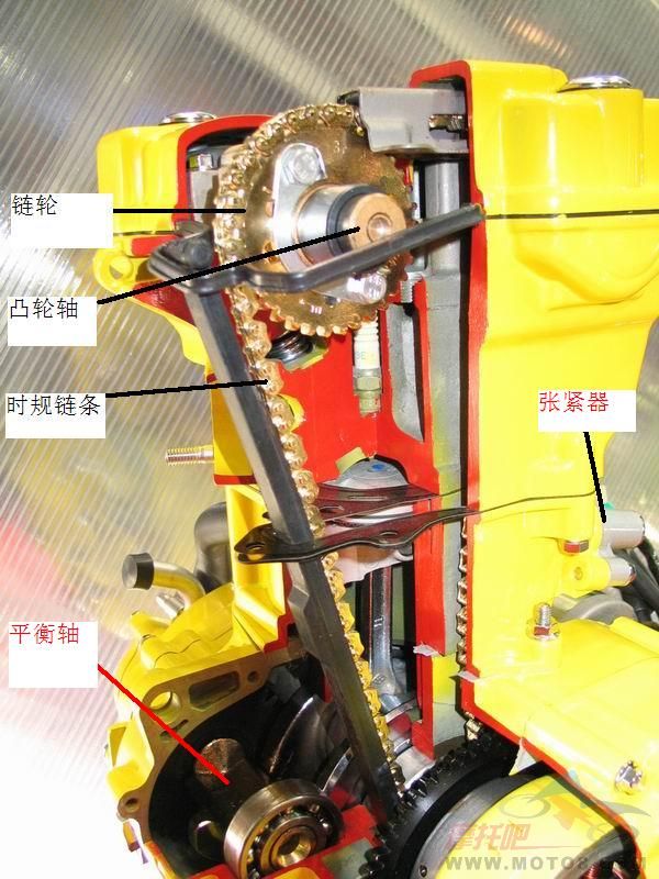 [求助]顶杆机头和小链条机头那个好?