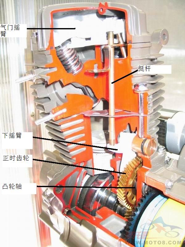 [求助]顶杆机头和小链条机头那个好?
