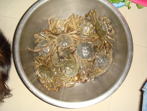 热烈祝贺陈零又老了一岁