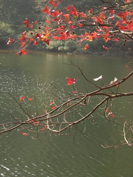 [原创]山照游,水照玩,禁摩只等闲