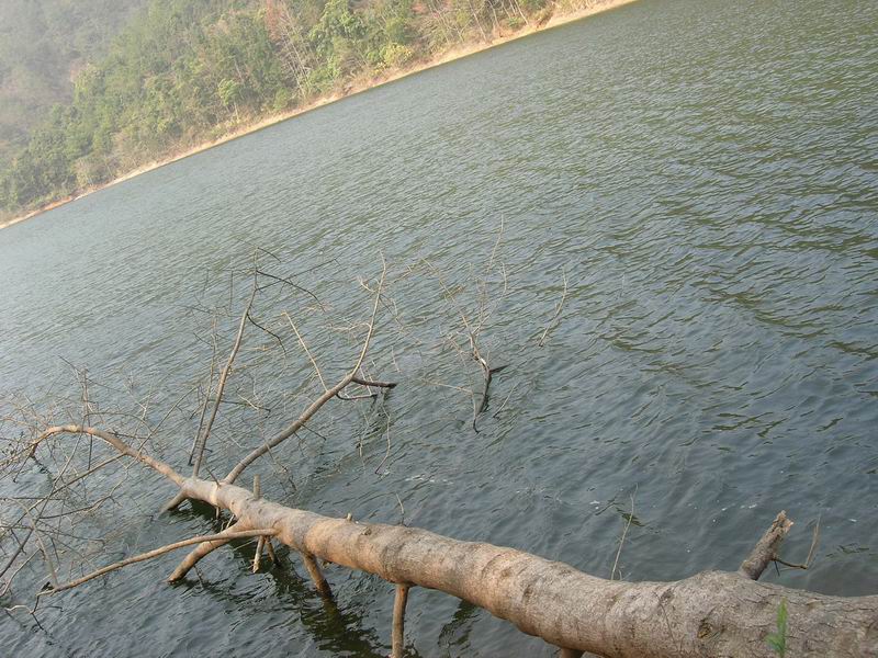 [原创]山照游,水照玩,禁摩只等闲
