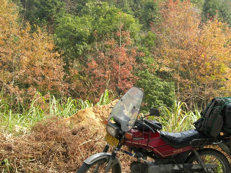 [原创]山照游,水照玩,禁摩只等闲