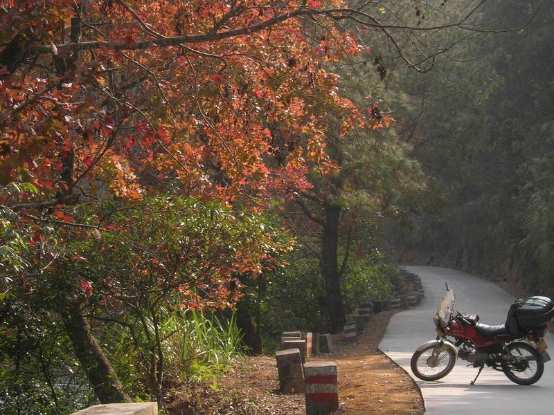[原创]山照游,水照玩,禁摩只等闲
