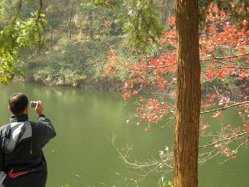 [原创]山照游,水照玩,禁摩只等闲