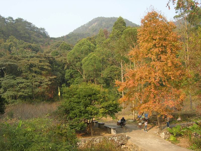 [原创]山照游,水照玩,禁摩只等闲