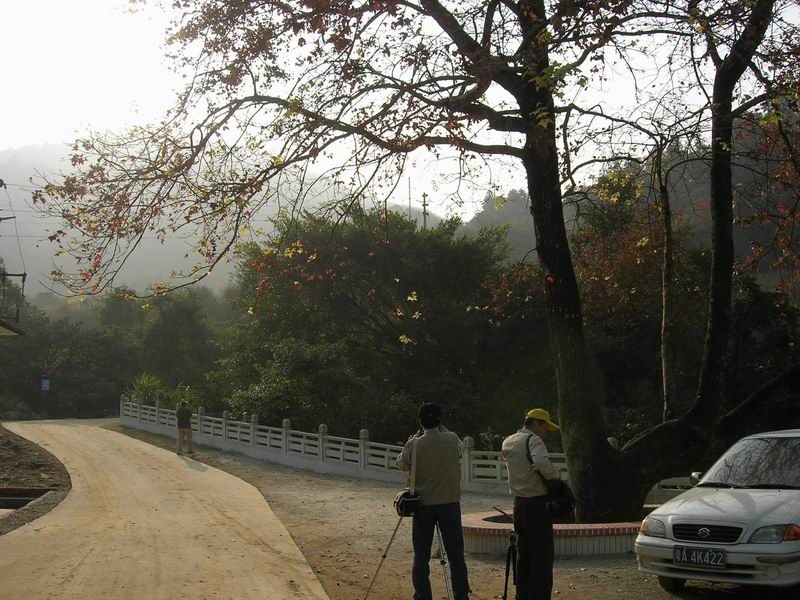 [原创]山照游,水照玩,禁摩只等闲