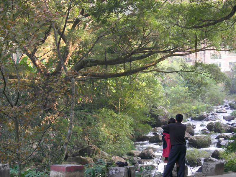 [原创]山照游,水照玩,禁摩只等闲