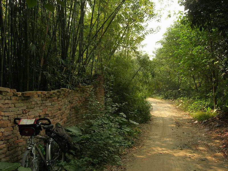 [原创]寻找一个诗意的背景,为单纯的美妙作证