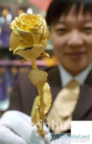情比金坚 情人节的金玫瑰！！！（你会喜欢吗？）
