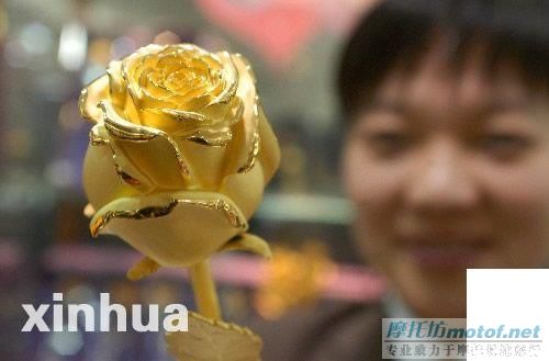 情比金坚 情人节的金玫瑰！！！（你会喜欢吗？）