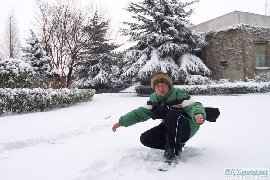 中原地区十年一遇的大雪！