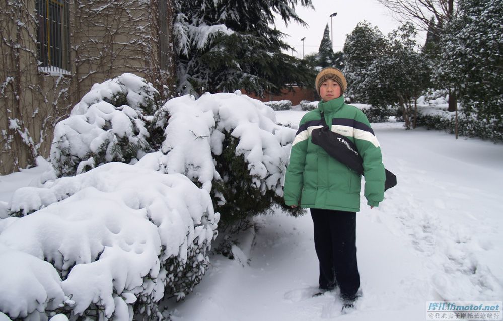 中原地区十年一遇的大雪！